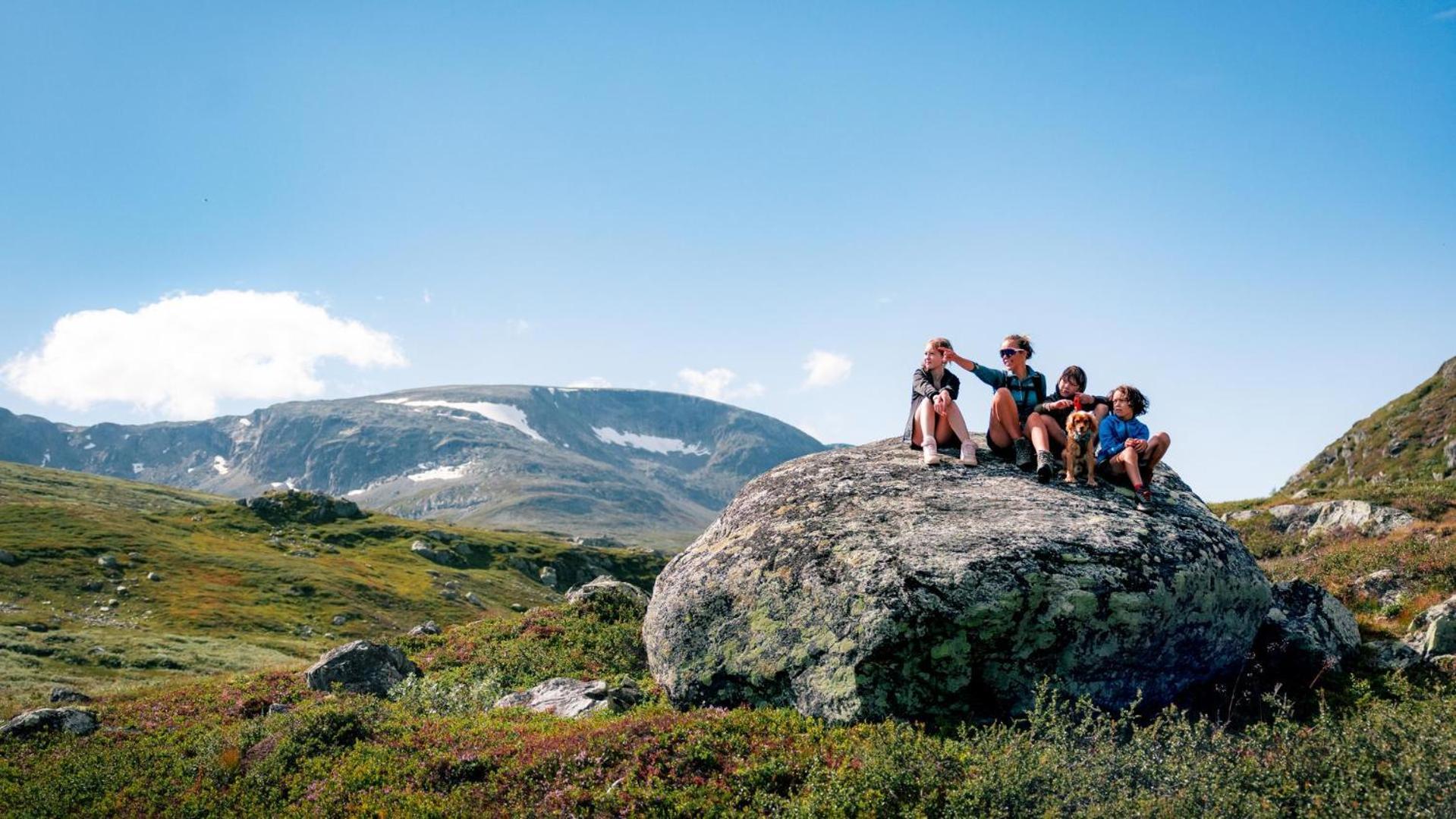 Skurdalsvegen 37L Villa Geilo Exteriör bild